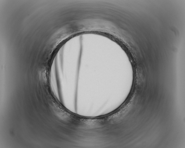 X0000111931497200909071227