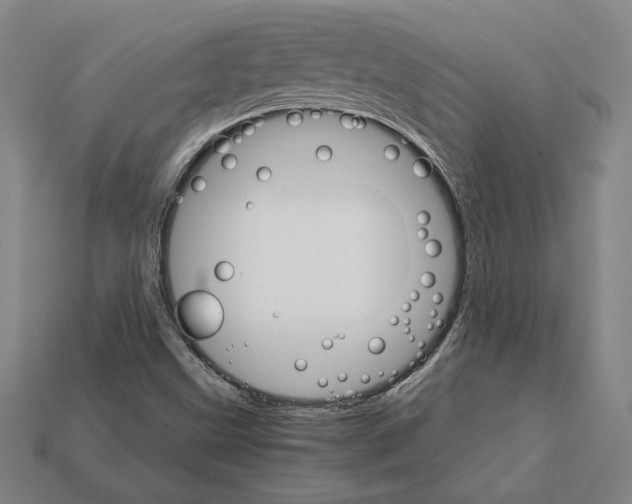 X0000111931499200909071227