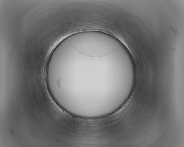 X0000111931500200909071227