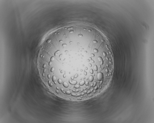 X0000111931501200909071227