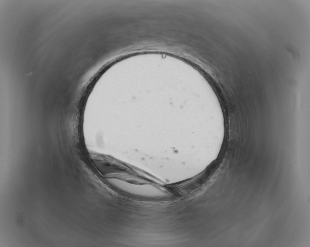 X0000111931502200909071227