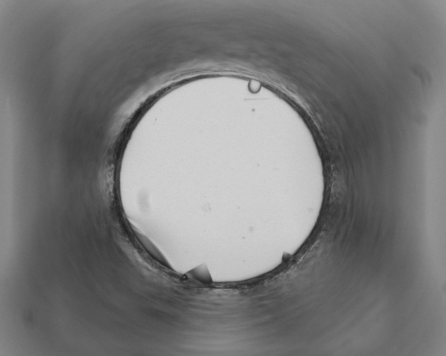 X0000111931503200909071227