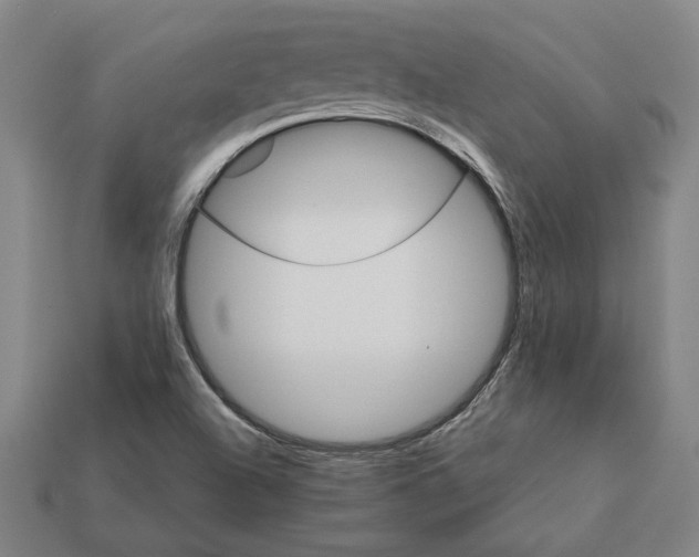 X0000111931504200909071227