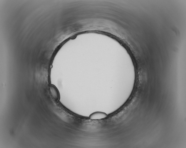 X0000111931505200909071227