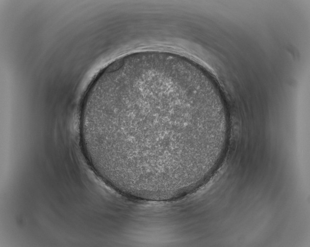 X0000111931506200909071227