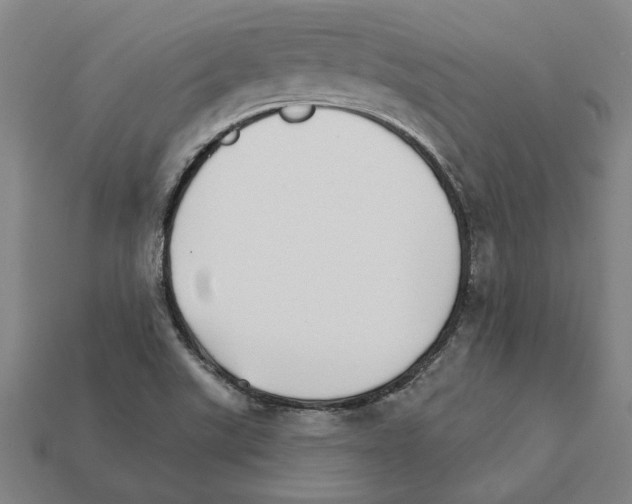 X0000111931507200909071227