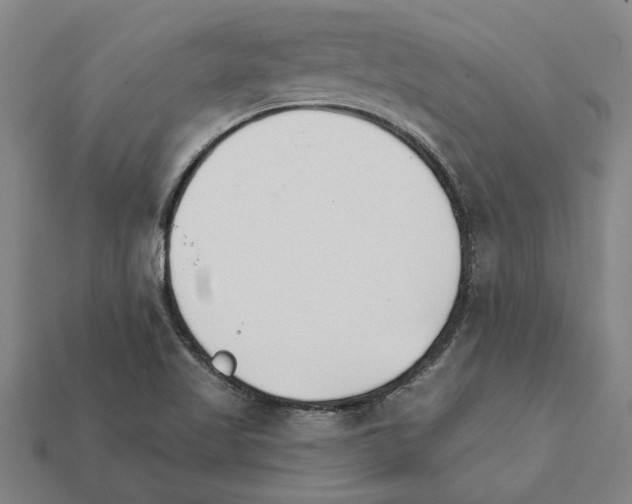 X0000111931509200909071227