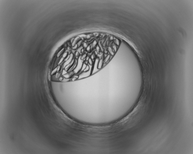 X0000111931510200909071227