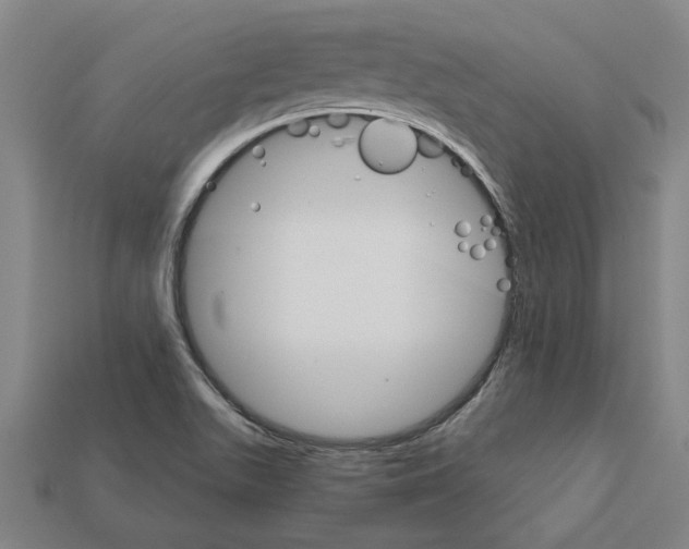 X0000111931511200909071227