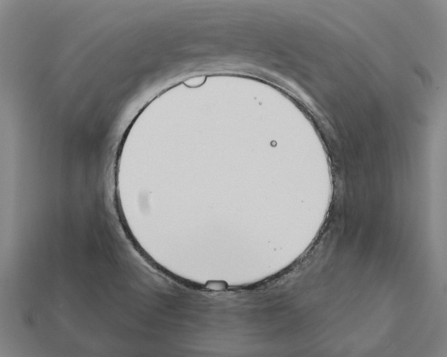 X0000111931512200909071227