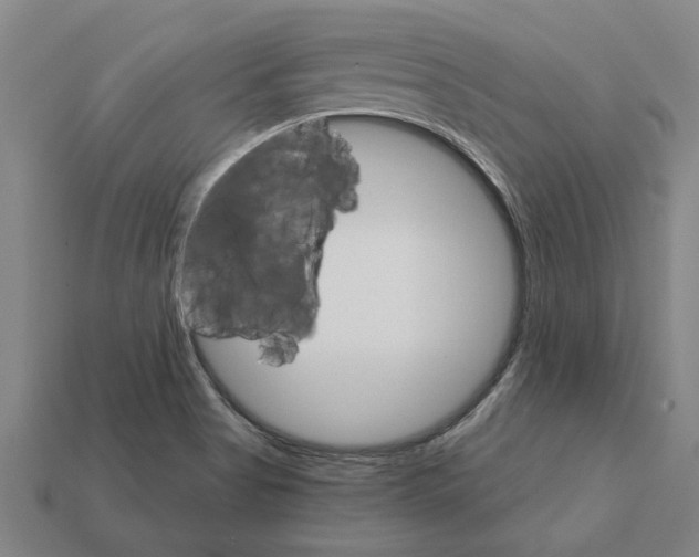 X0000111931513200909071227