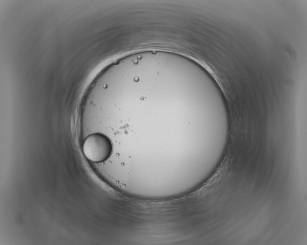 X0000111931515200909071227