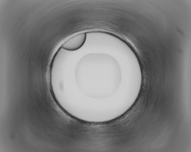 X0000111931516200909071227