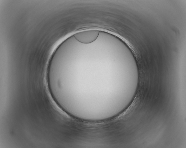 X0000111931518200909071227