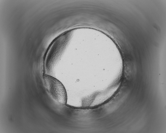 X0000111931519200909071227