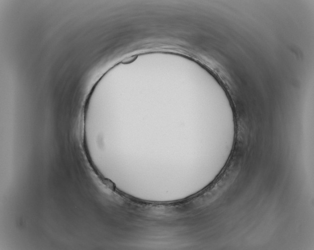 X0000111931520200909071227