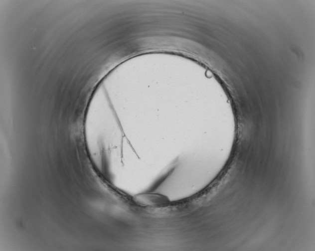 X0000111931521200909071227