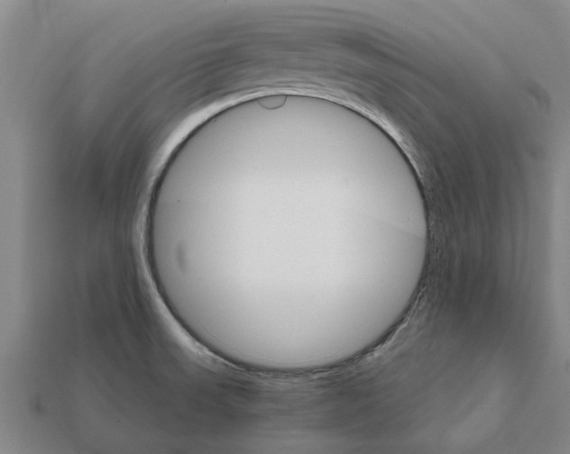 X0000111931523200909071228