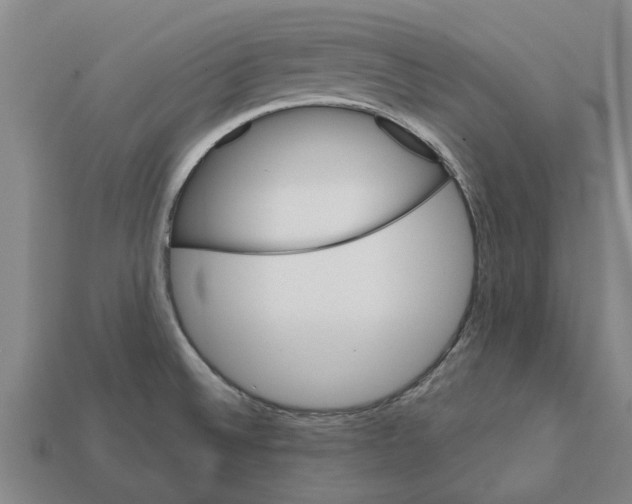 X0000111931524200909071228