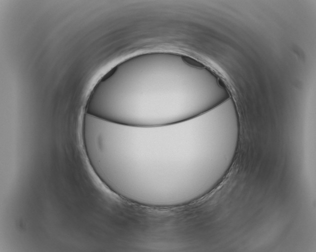 X0000111931528200909071228