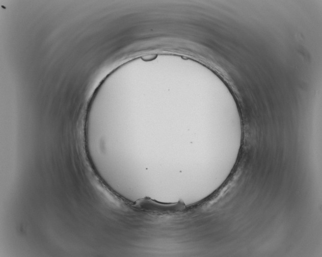 X0000111931530200909071228