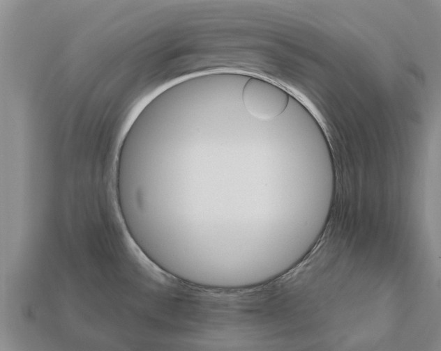 X0000111931532200909071228