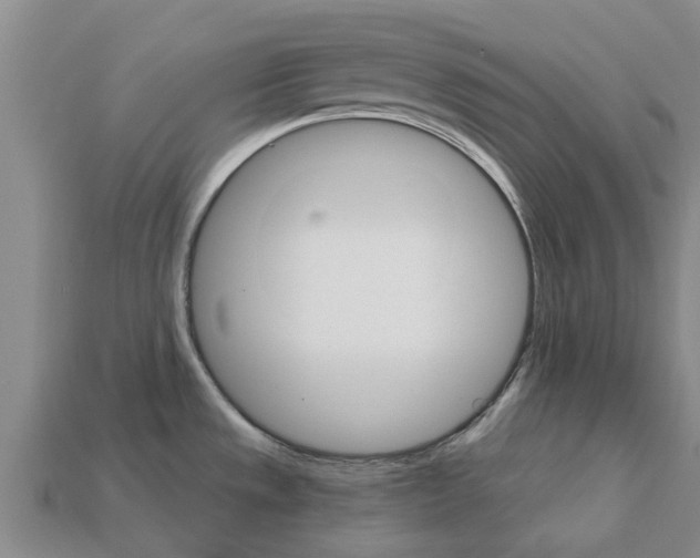 X0000111931533200909071228