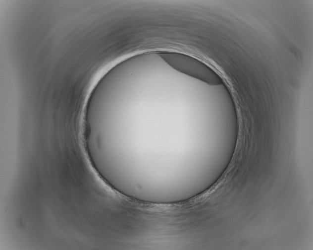 X0000111931536200909071228