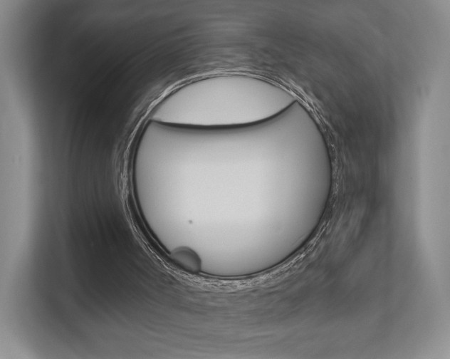 X0000111940002200907271023