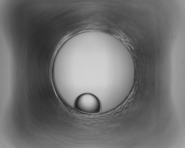 X0000111940003200907271023