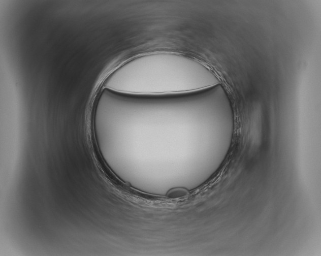 X0000111940004200907271023