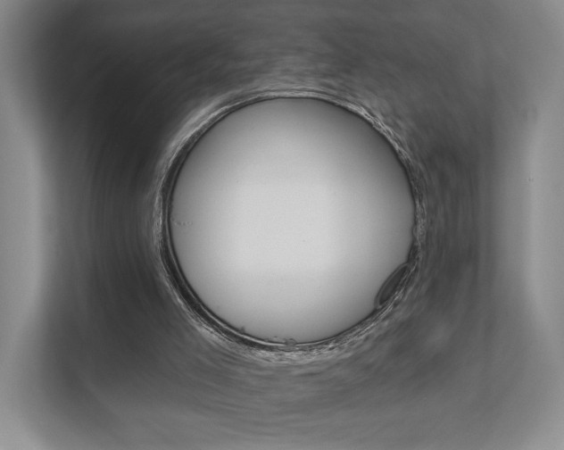 X0000111940005200907271023