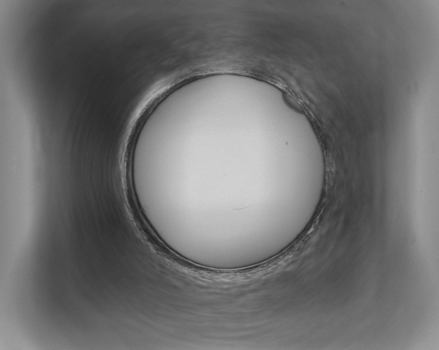 X0000111940006200907271023