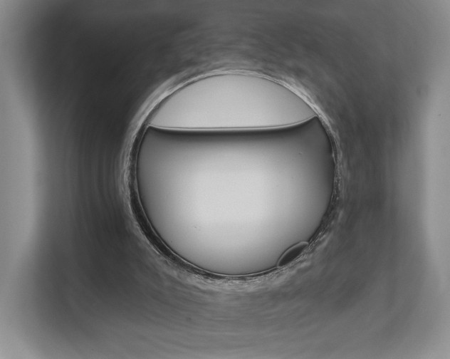 X0000111940007200907271023