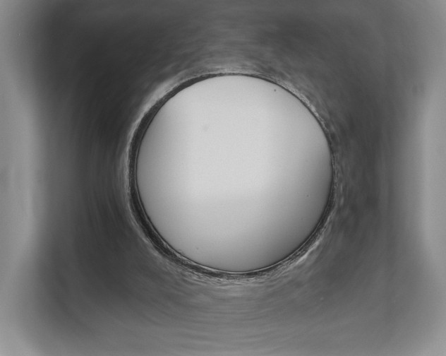 X0000111940008200907271023