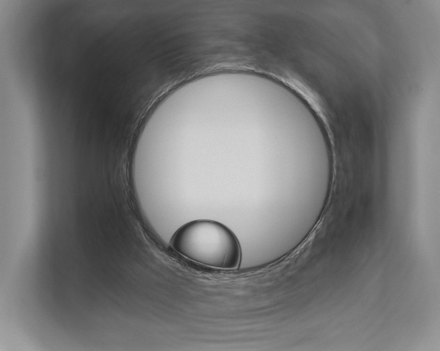 X0000111940009200907271023