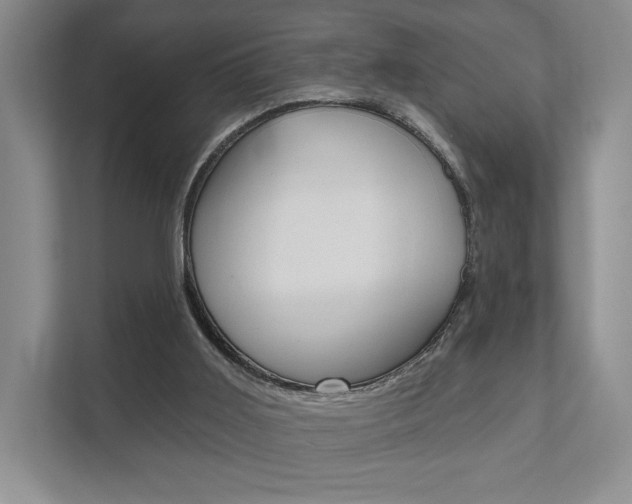 X0000111940011200907271023