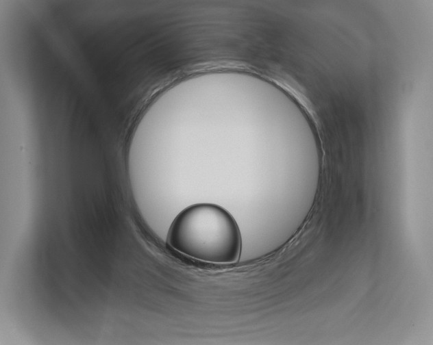 X0000111940013200907271023