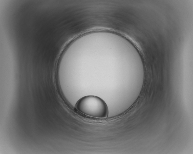 X0000111940015200907271023