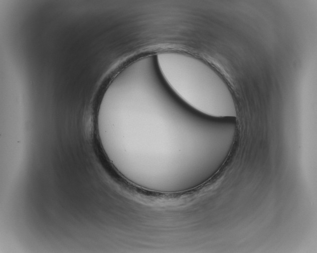 X0000111940016200907271023