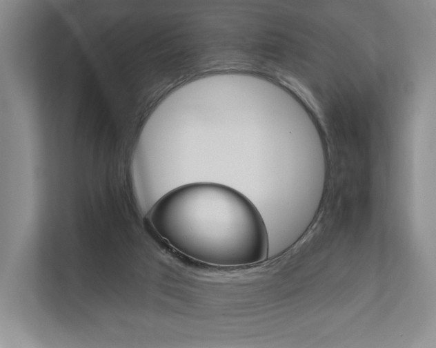 X0000111940017200907271023