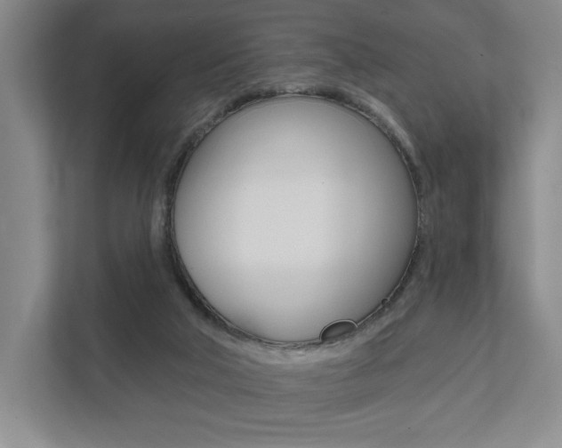 X0000111940018200907271023