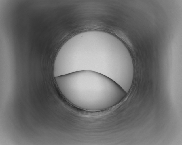 X0000111940021200907271023