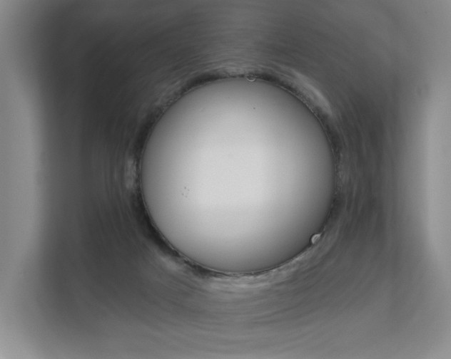 X0000111940025200907271023