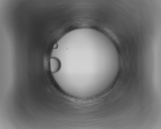 X0000111940026200907271023
