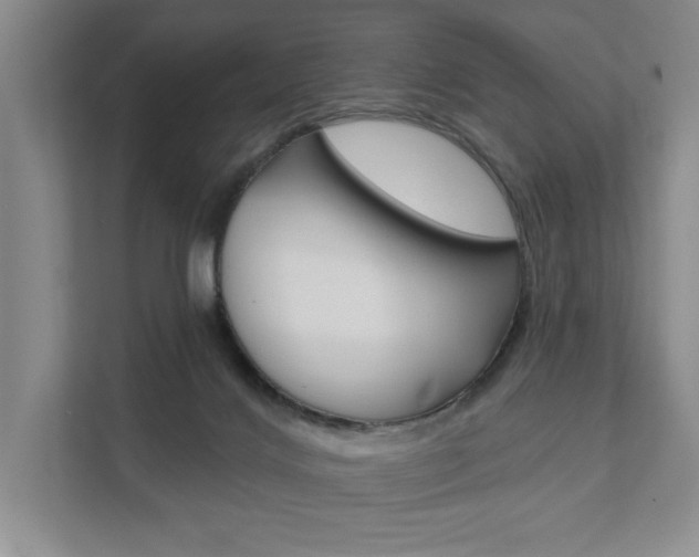 X0000111940028200907271023
