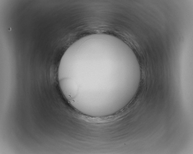 X0000111940030200907271023