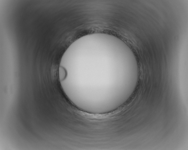 X0000111940034200907271023