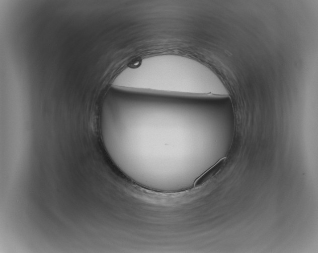 X0000111940035200907271023