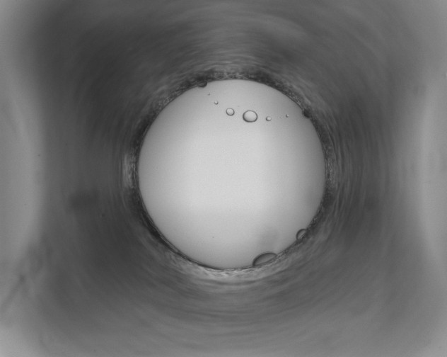 X0000111940038200907271023